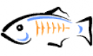 GlassFish Training in Slovenia
