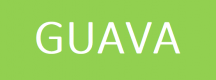 Guava Training in Slovenia