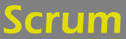 Scrum Training in Slovenia