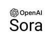 Sora Training in Slovenia