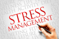 Stress Management Training in Slovenia